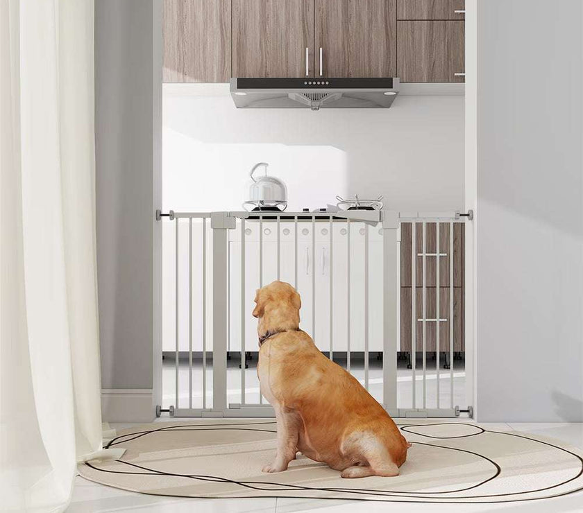 High White Child Safety Gate